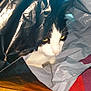 Ninja participe au concours pour gagner de l'argent avec cette photo : carnivore, cat, felidae, paper, plastic_bag, small_to_medium_sized_cats, tent, whiskers