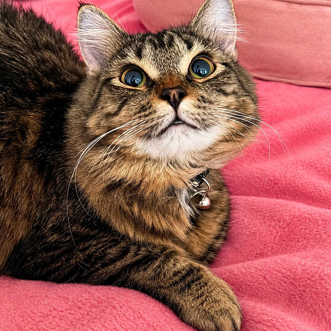 Ragnar