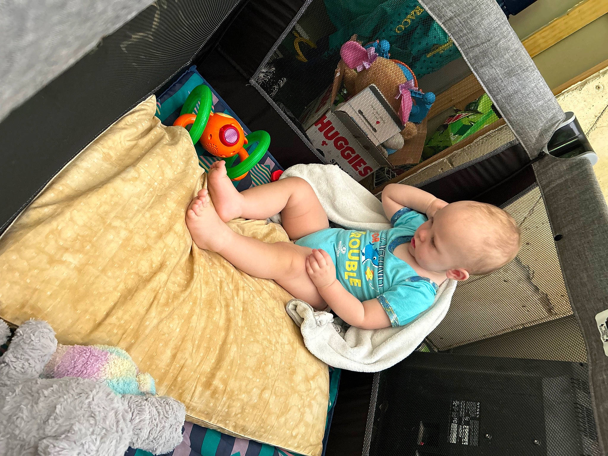 Leeroy joined the competition — help win amazing prizes! baby, baby_products, baby_safety, baby_toddler_clothing, child, comfort, foot, fun, happy, human_leg, leisure, linens, person, play, room, sitting, thigh, toddler, vacation