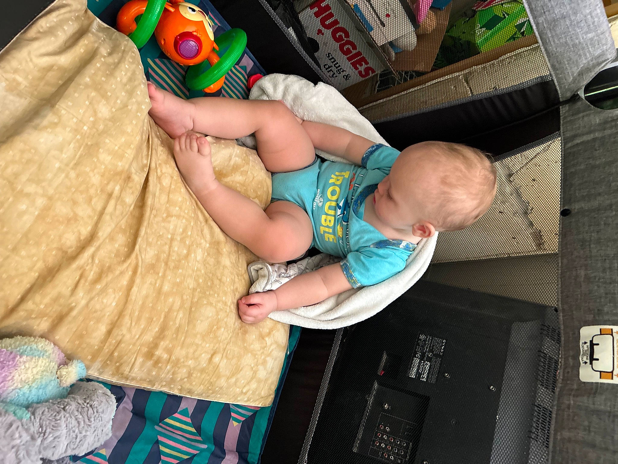 Leeroy joined the competition — help win amazing prizes! arm, baby, baby_products, baby_toddler_clothing, blue, child, finger, fun, hand, human_body, mammal, person, play, product, room, sitting, t_shirt, thumb, toddler, toy