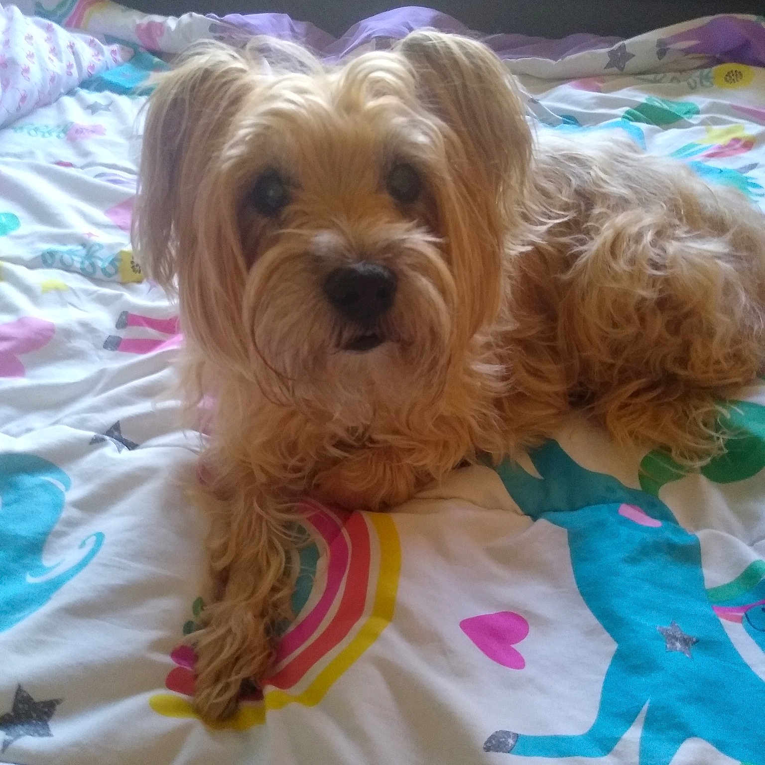 Precious