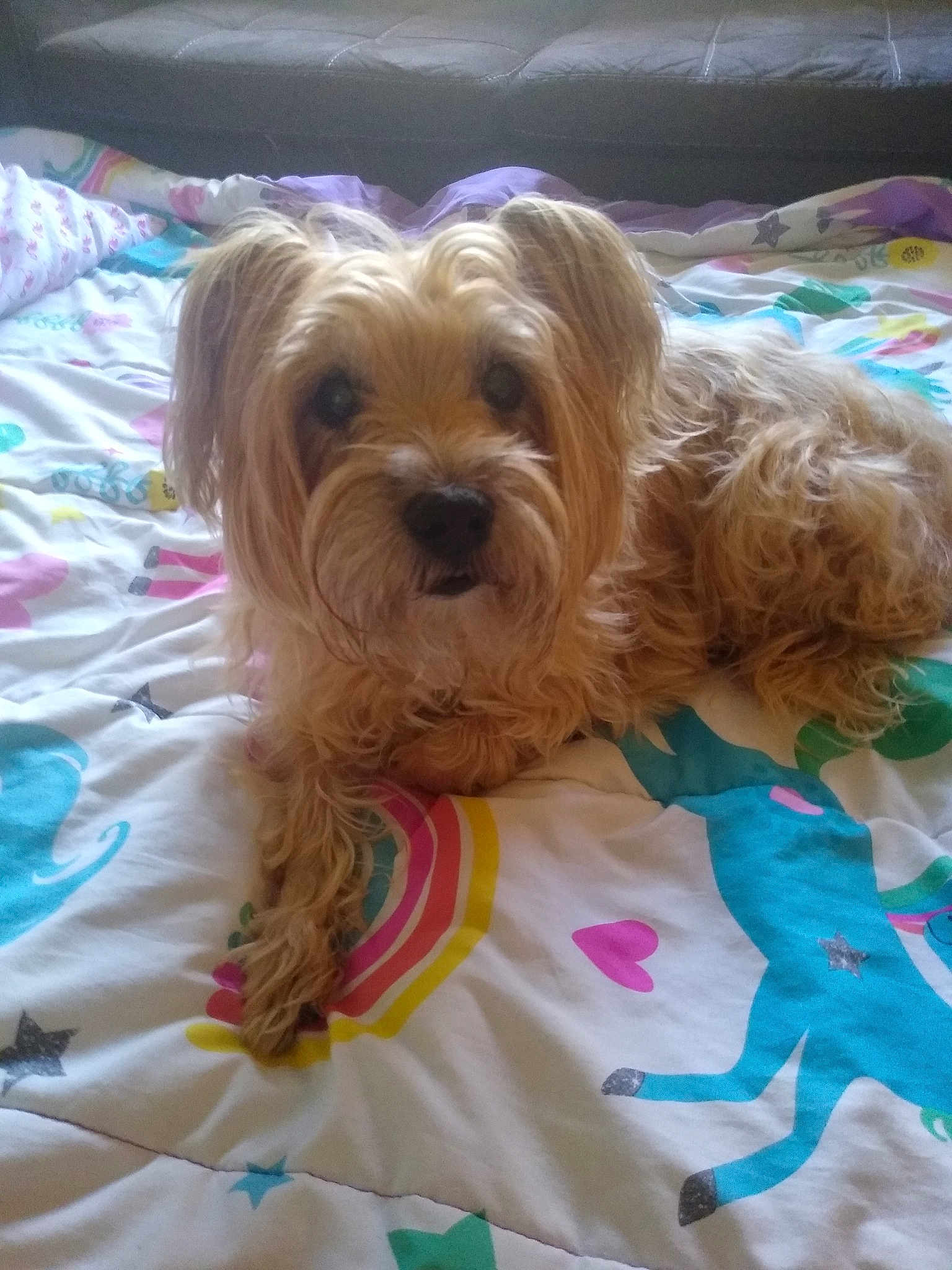 Precious