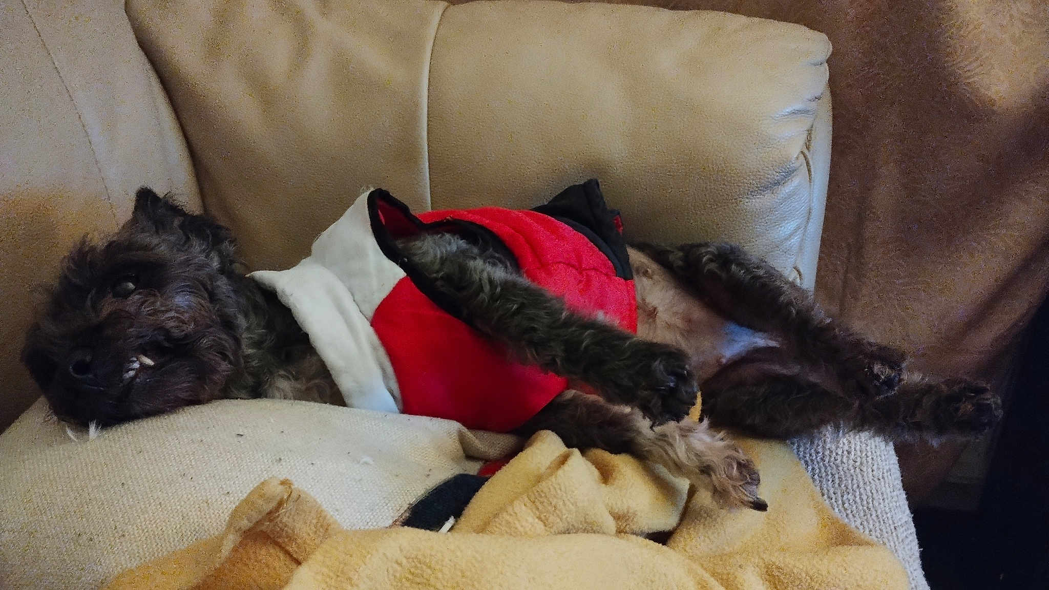 Bella