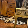 cat, tabby, pet, animal, lying_down, belly_up, playful, portrait, face, whiskers, indoors, kitchen, wooden_floor, checkerboard_mat, cabinet, drawers, furniture, fan, home, funny