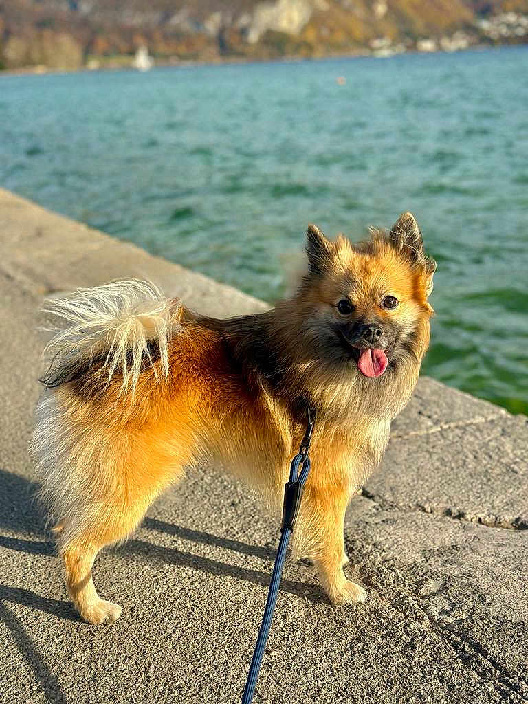 Maïko
