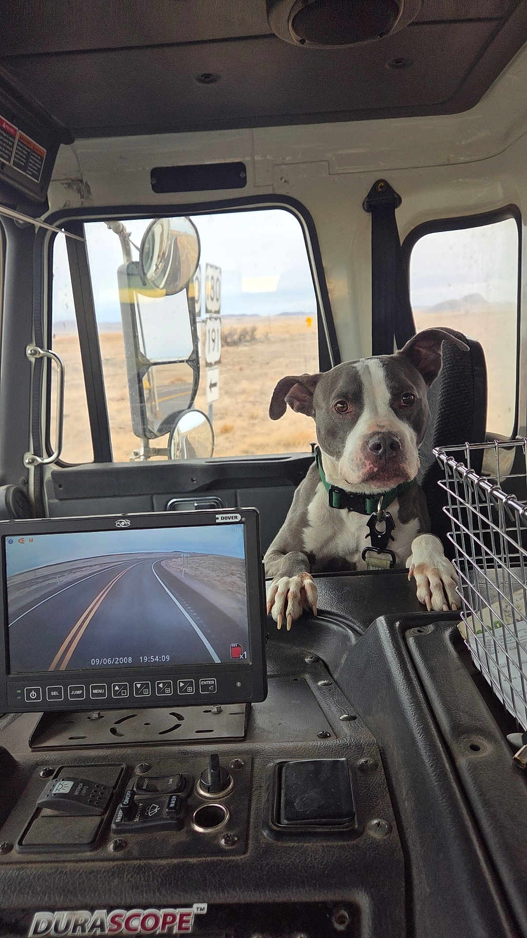 Oakley joined the competition — help win amazing prizes! animal, basket, black, collar, control_panel, dashboard, desert, dog, gray, landscape, mirror, monitor, pet, reflection, road, road_sign, seat, vehicle_interior, white, window