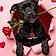 Mercades