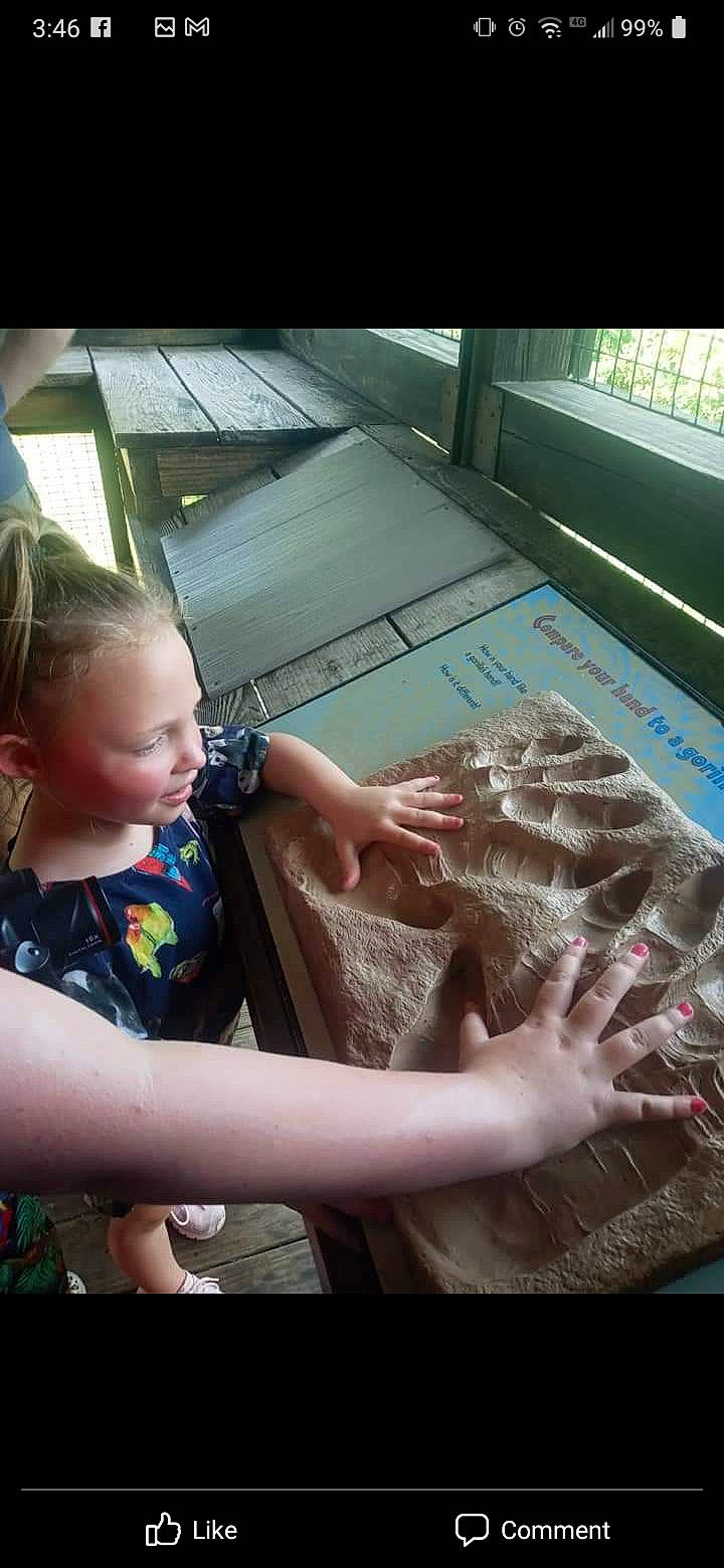 Maddalynn is registered to the contest to win money with this photo: automotive_wheel_system, baby, baby_toddler_clothing, child, finger, flesh, flooring, fun, gesture, grass, hand, happy, human_leg, leisure, nail, person, room, sitting, toddler, wheel