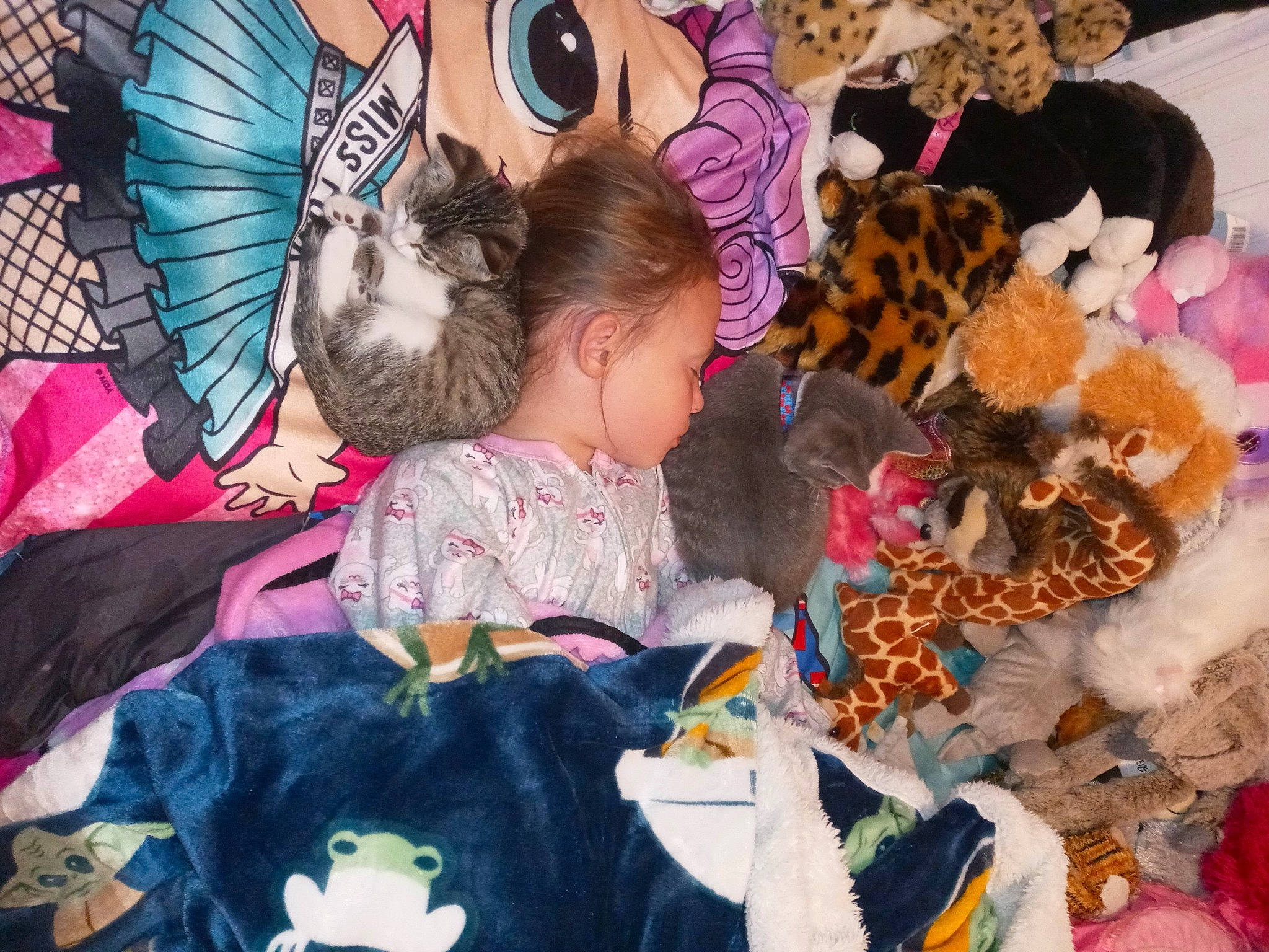 Maddalynn is registered to the contest to win money with this photo: art, baby_toddler_clothing, child, costume, event, eyelash, fashion_accessory, fashion_design, fun, fur, happy, headgear, linens, pattern, person, pink, pollinator, room, toddler, toy