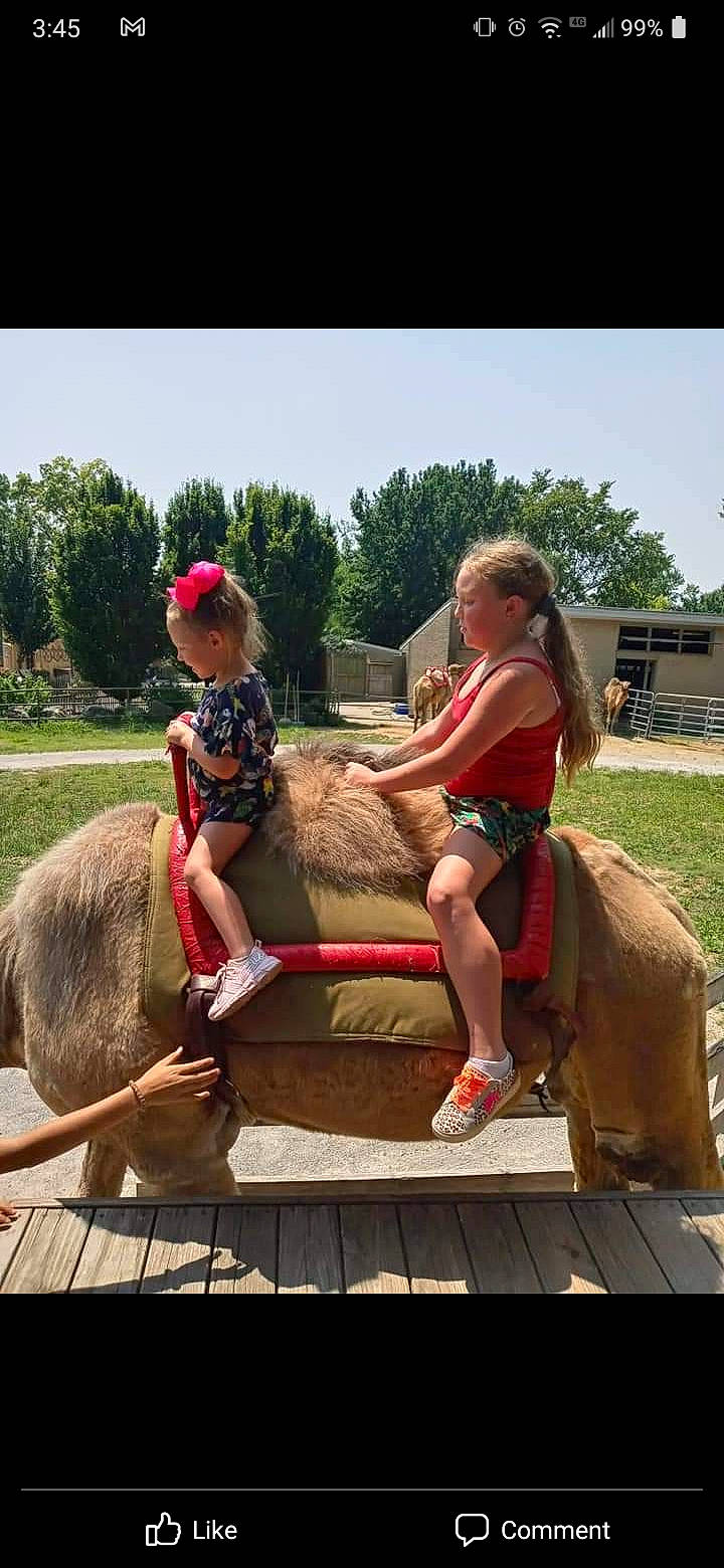 Maddalynn is registered to the contest to win money with this photo: child, event, fawn, fun, grass, happy, hat, landscape, leg, leisure, person, plant, recreation, shorts, sitting, sky, tire, travel, tree, wood