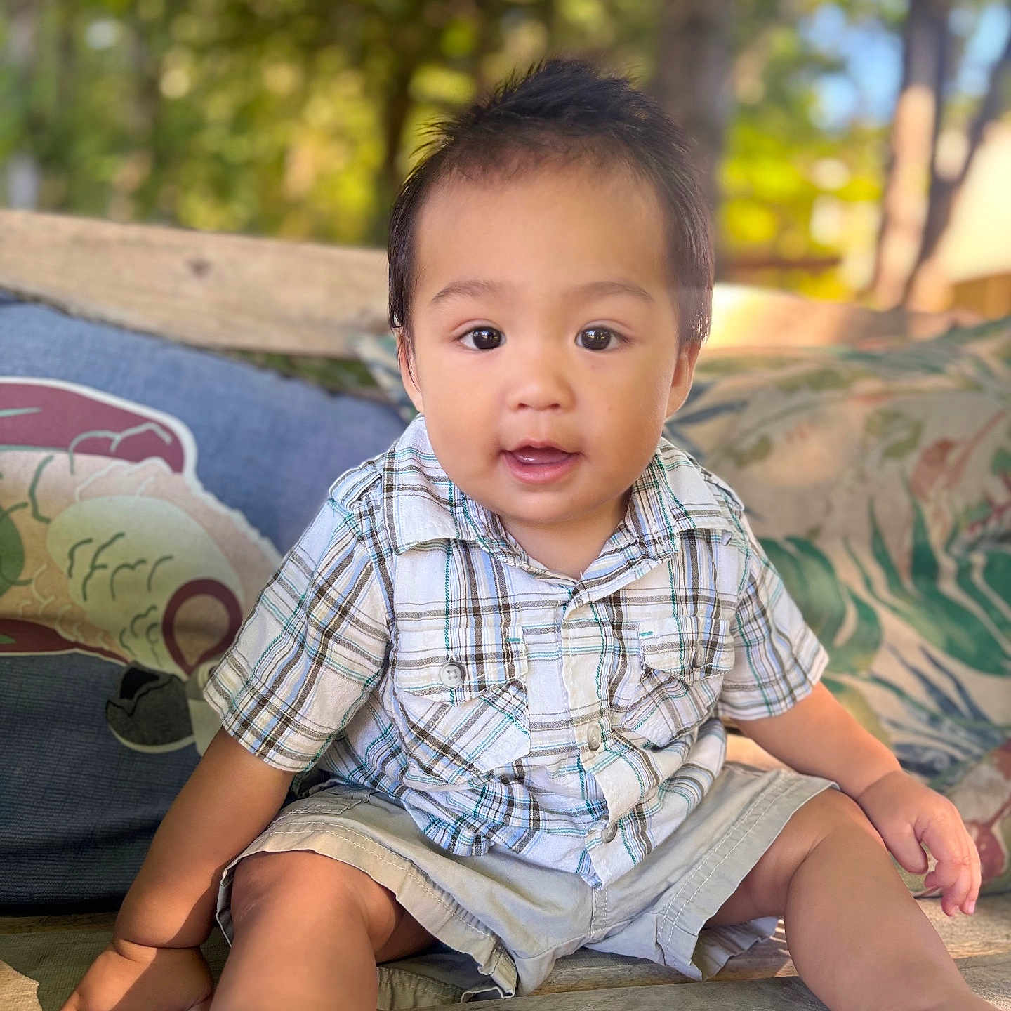 Jayava is registered to the contest to win money with this photo: baby, bench, casual_clothing, child, cushions, cute, daylight, greenery, happy, nature, outdoor, person, plaid_shirt, portrait, shorts, sitting, smiling, toddler, wood, young