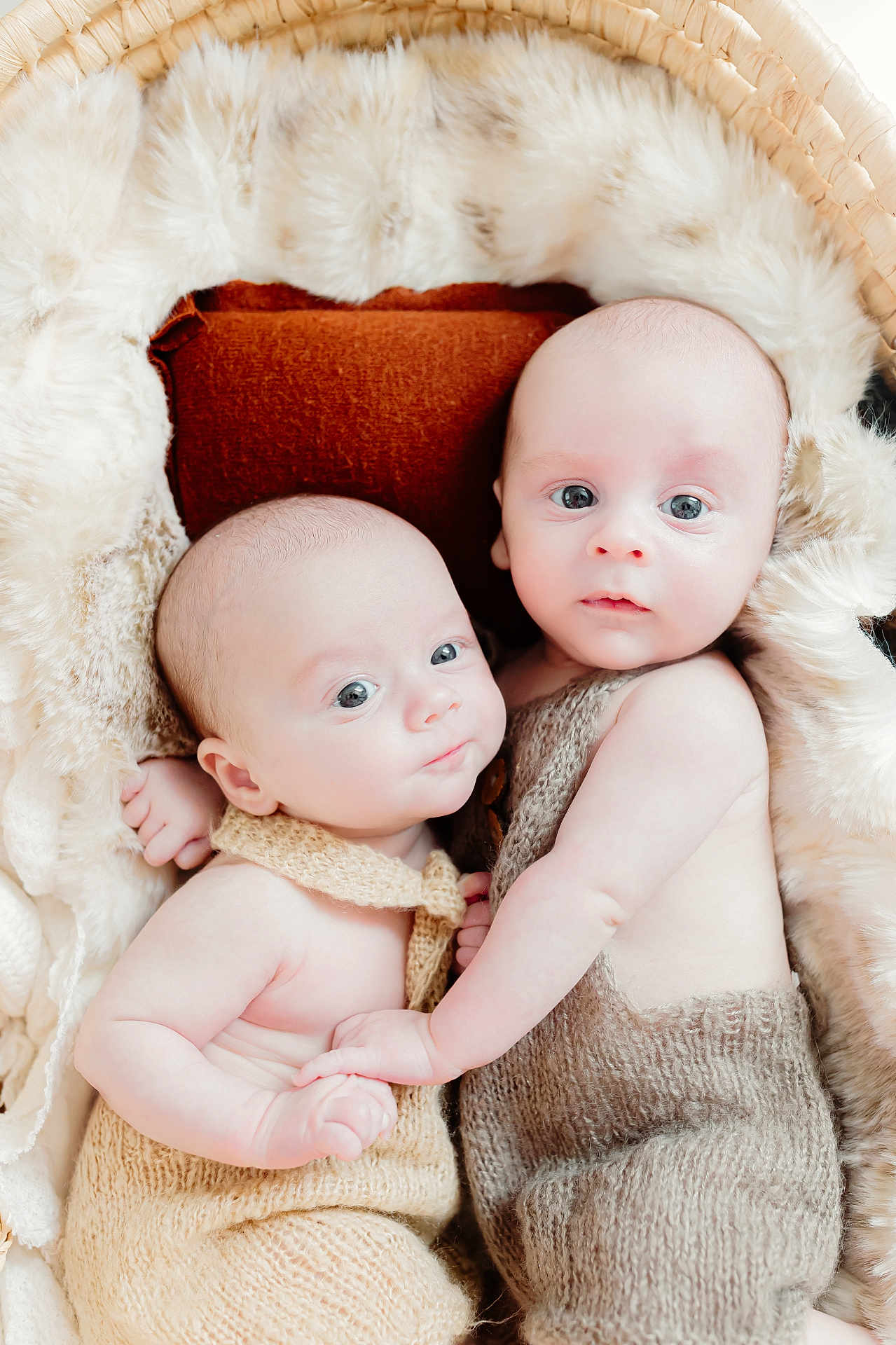 Dakota And Briggs joined the competition — help win amazing prizes! baby, basket, blue_eyes, closeup, cozy, cute, cuteness, expression, face, fur_blanket, holding_hands, indoors, infant, knitted_clothing, newborn, portrait, skin, sleeping_area, soft_texture, two_babies
