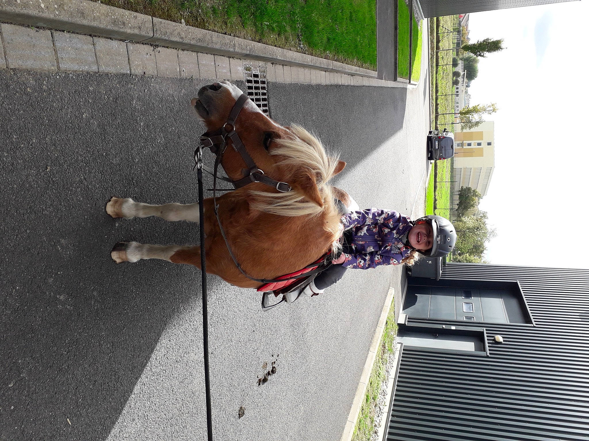 Joy participe au concours pour gagner de l'argent avec cette photo : adventure, boot, concrete, fun, hat, headwear, joy, leash, person, plant, recreation, shadow, sidewalk, sky, tree
