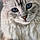 Monchat