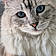 Monchat