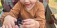 Jasmine joined the competition — help win amazing prizes! child, toddler, baby, person, face, smile, curly_hair, eyelashes, chick, bird, animal, hand, holding, outdoor, nature, chair, camouflage, brown_shirt, black_pants, happy