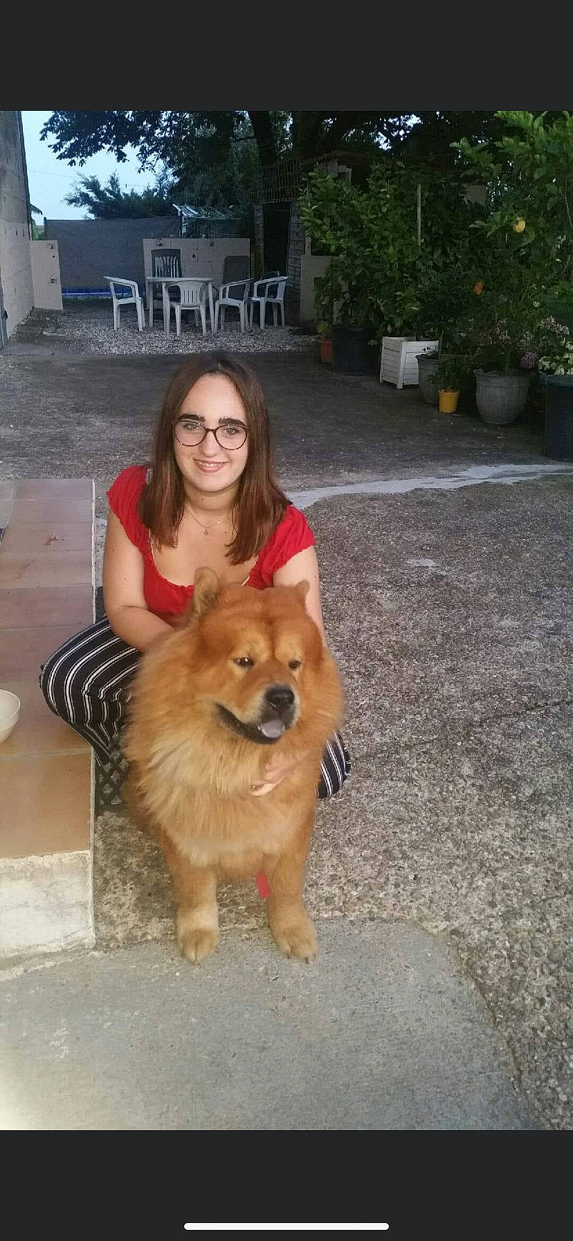 Wini a rejoint le concours — aidez-le/la à gagner de superbes lots ! canidae, carnivore, chair, companion_dog, dog, dog_breed, fawn, flowerpot, fur, german_spitz, german_spitz_mittel, plant, sitting, smile, spitz, sporting_group, tree, vacation, whiskers, working_dog