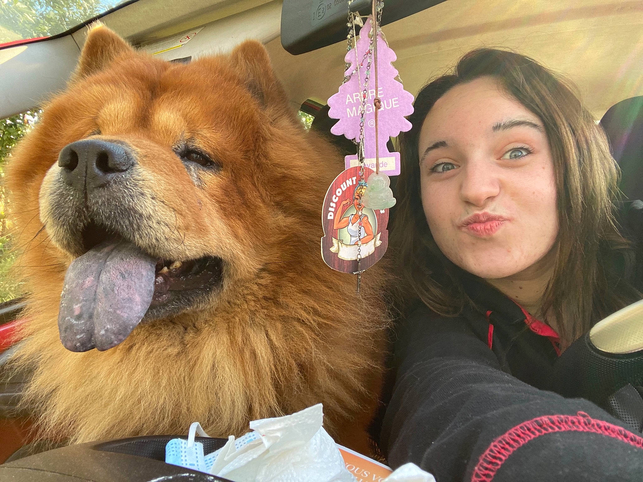 Wini participe au concours pour gagner de l'argent avec cette photo : canidae, carnivore, chair, companion_dog, dog, dog_breed, eye, fashion_accessory, fawn, fun, fur, mouth, non_sporting_group, nose, selfie, snout, spitz, sporting_group, terrestrial_animal, whiskers