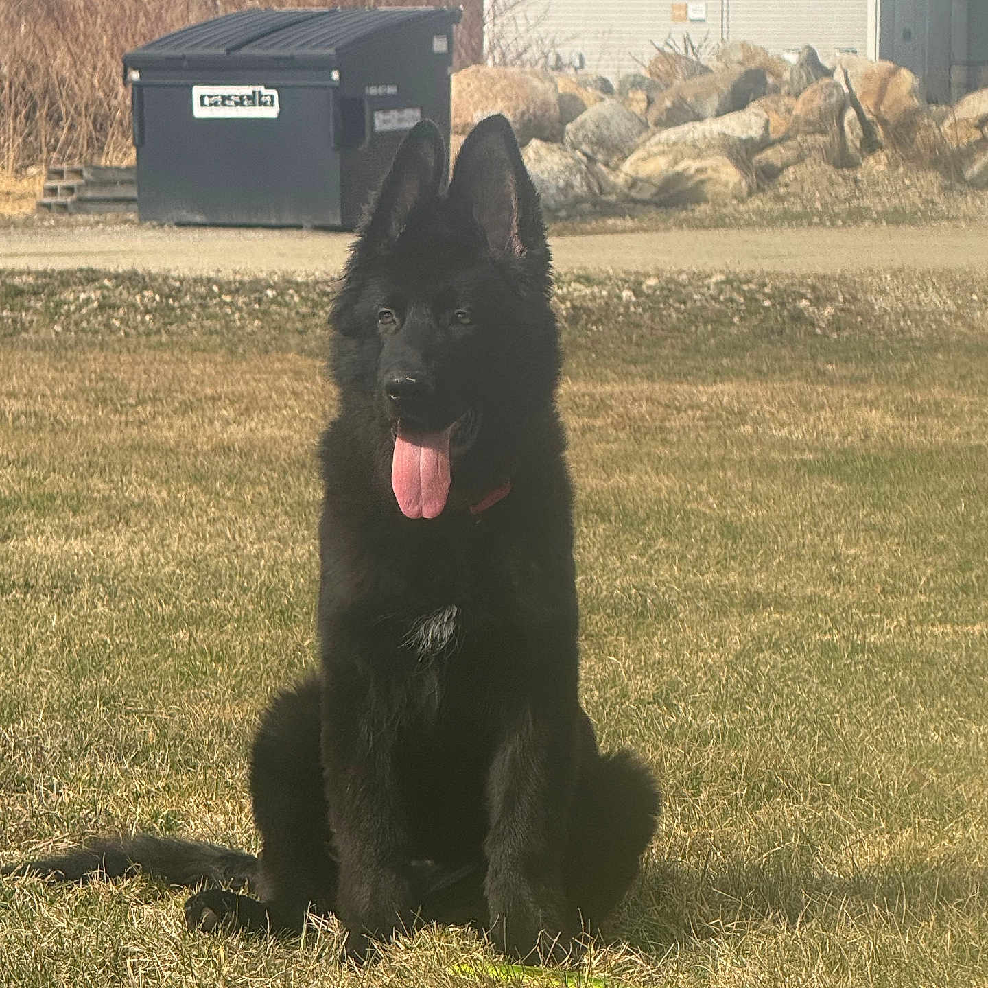 Max