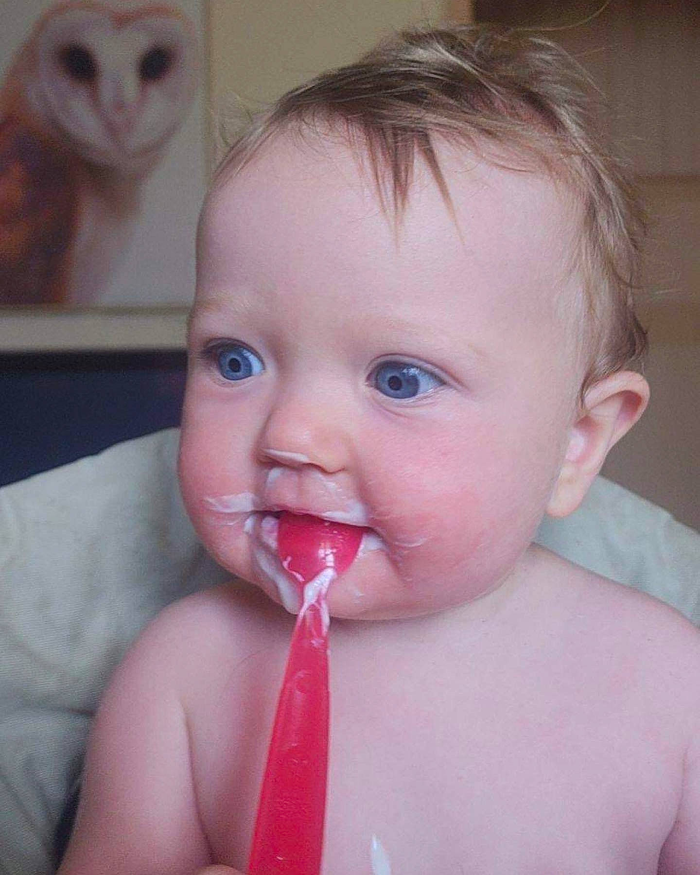 Leilahni is registered to the contest to win money with this photo: arm, barn_owl, cheek, chin, ear, eye, eyebrow, eyelash, face, hair, hairstyle, head, human, human_body, lip, mouth, nose, organ, person, product