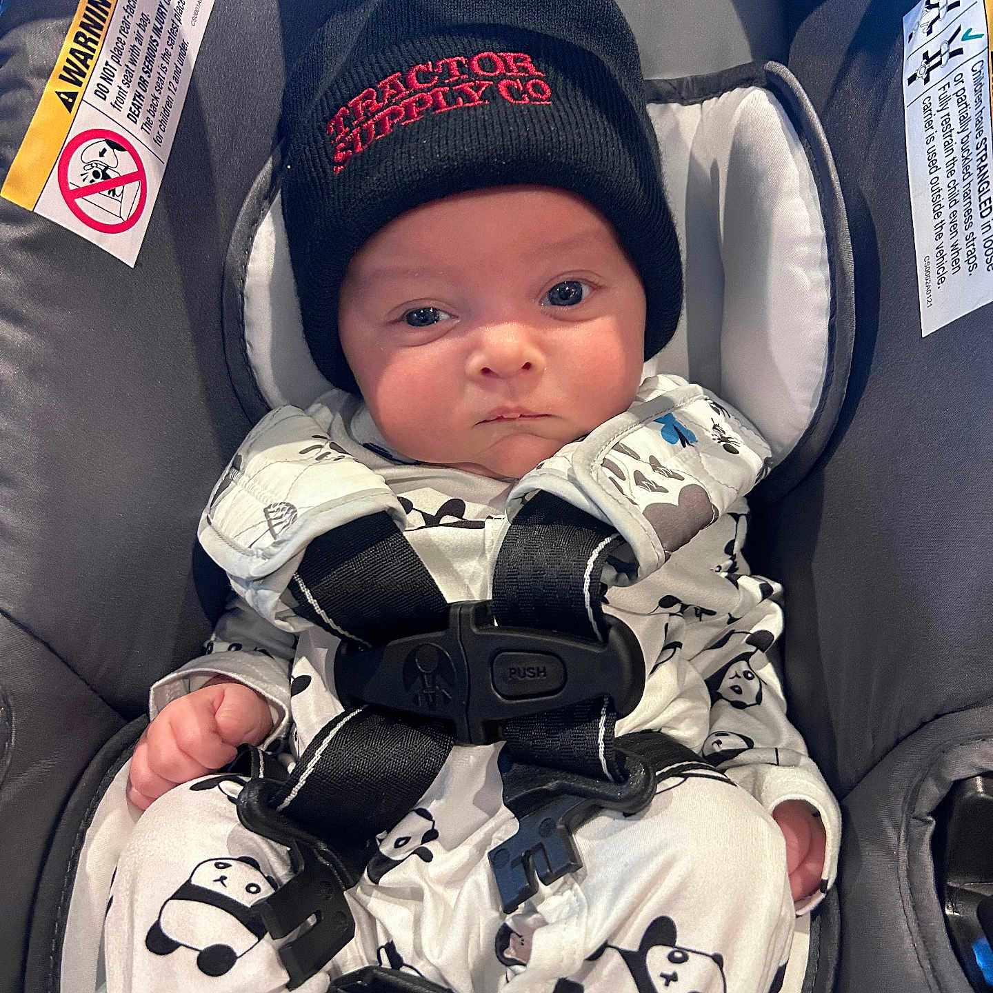 Myan is registered to the contest to win money with this photo: baby, infant, car_seat, panda_pattern, onesie, black_beanie, red_text, straps, sitting, serious_face, child, cute, indoors, clothing, safety_harness, young_child, headwear, portrait, person, baby_clothes