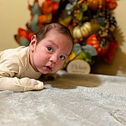 Francisco joined the competition — help win amazing prizes! baby, infant, child, face, curious, lying_down, cream_clothing, soft_surface, texture, autumn_wreath, decor, orange, yellow, green, blurred_background, indoor, portrait, young_child, holiday, cozy