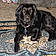 Lilly