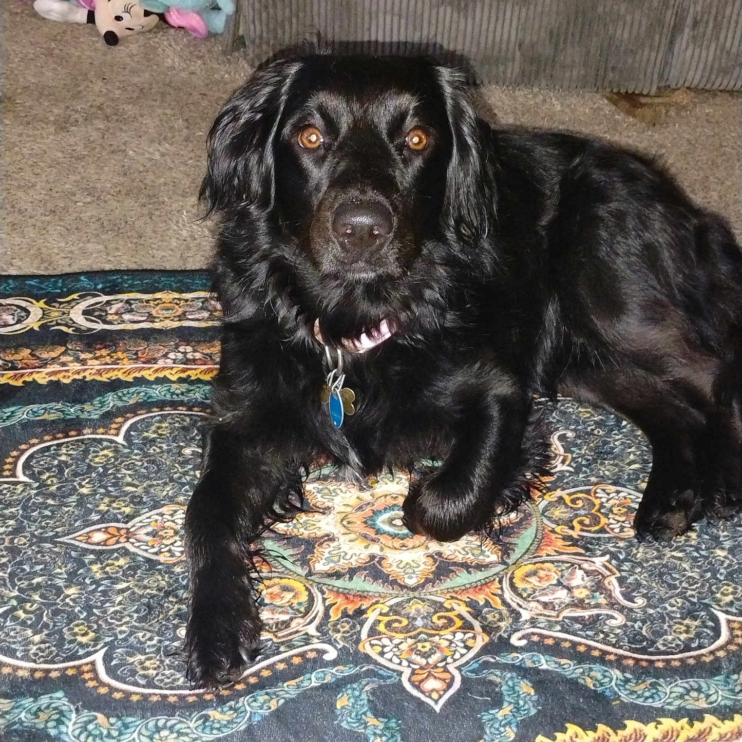 Lilly
