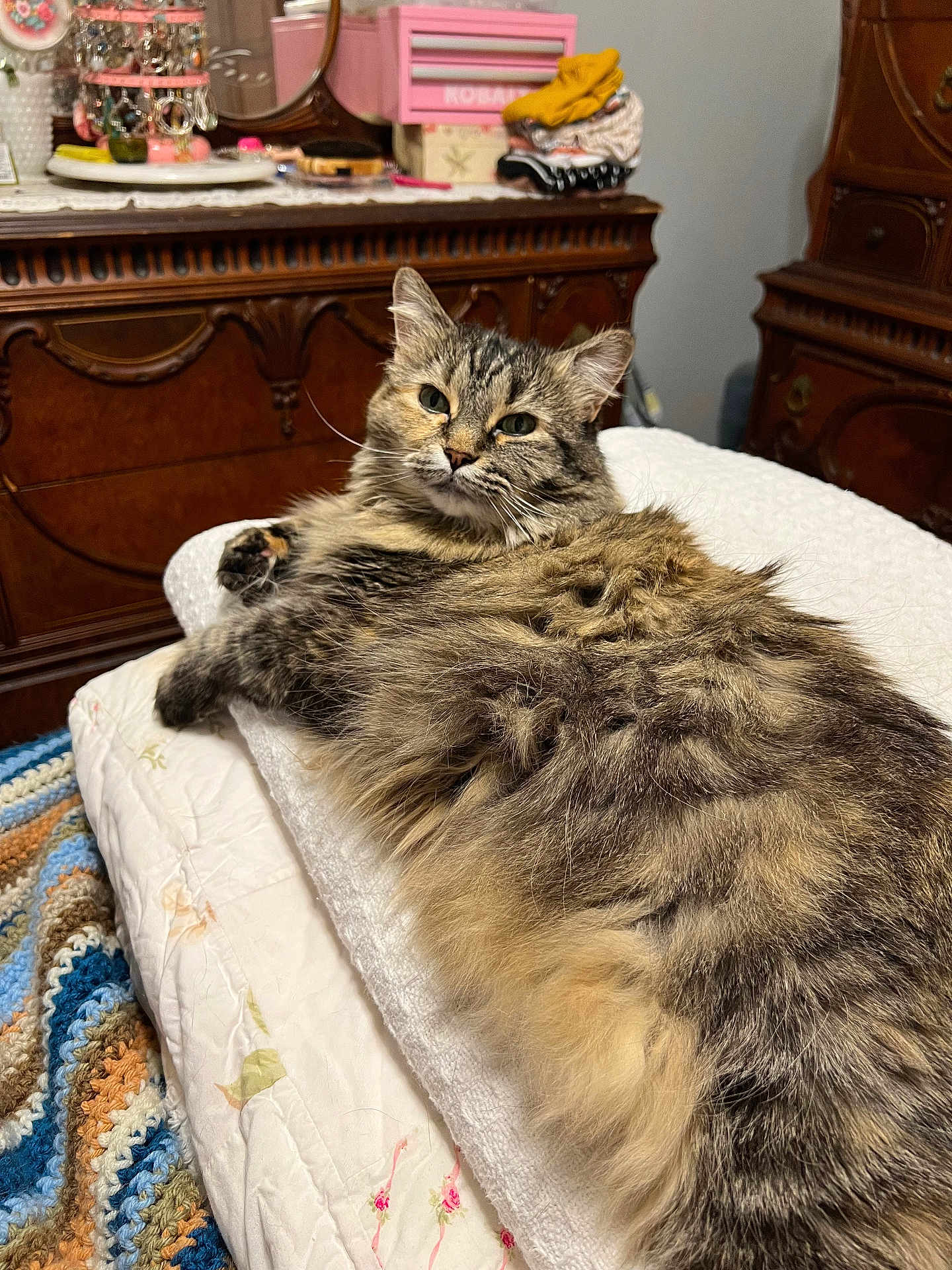 Stella