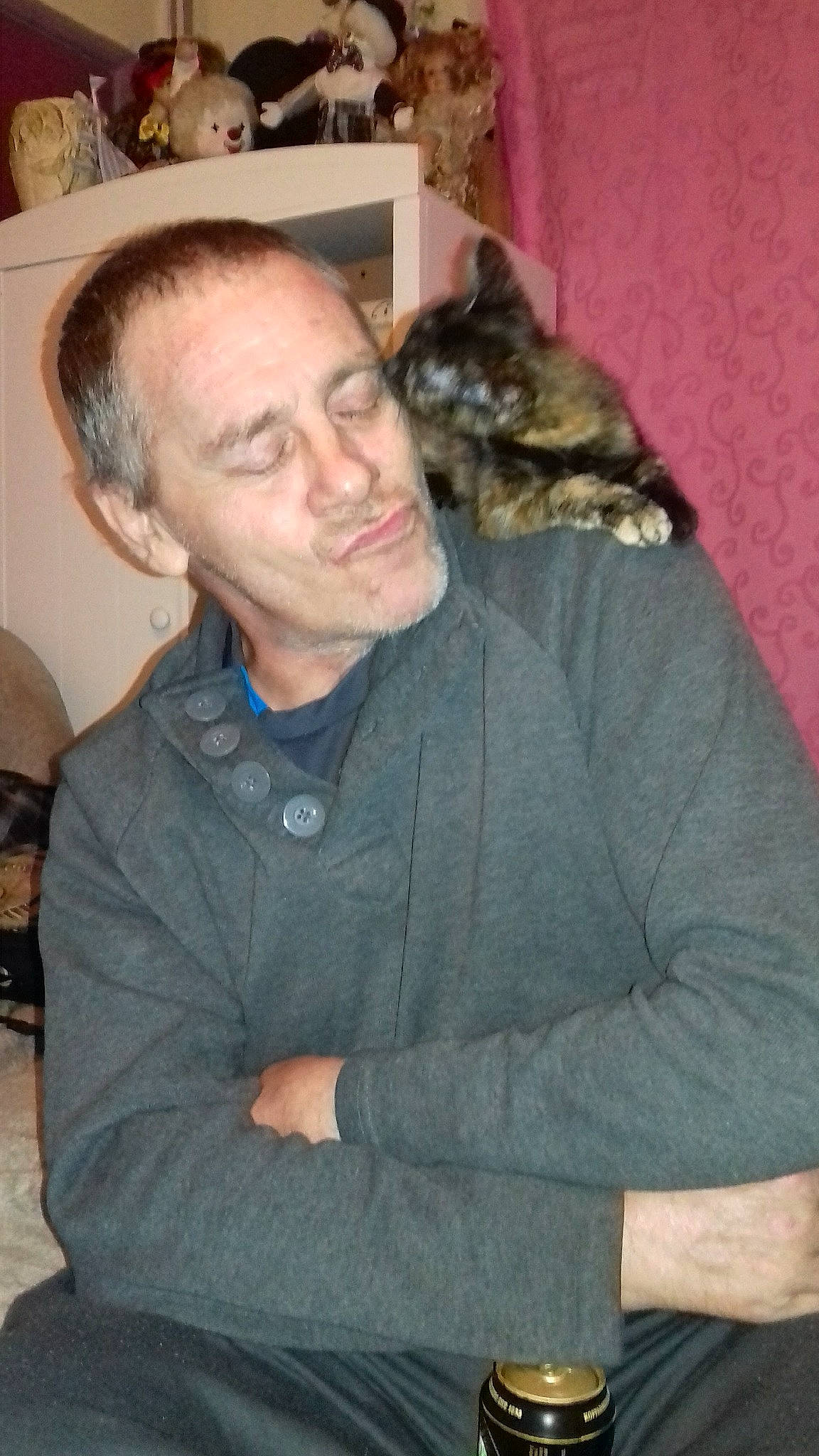 Ickle joined the competition — help win amazing prizes! carnivore, cat, domestic_short_haired_cat, ear, european_shorthair, eye, felidae, fur, person, small_to_medium_sized_cats