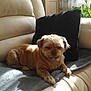 Praline participe au concours pour gagner de l'argent avec cette photo :