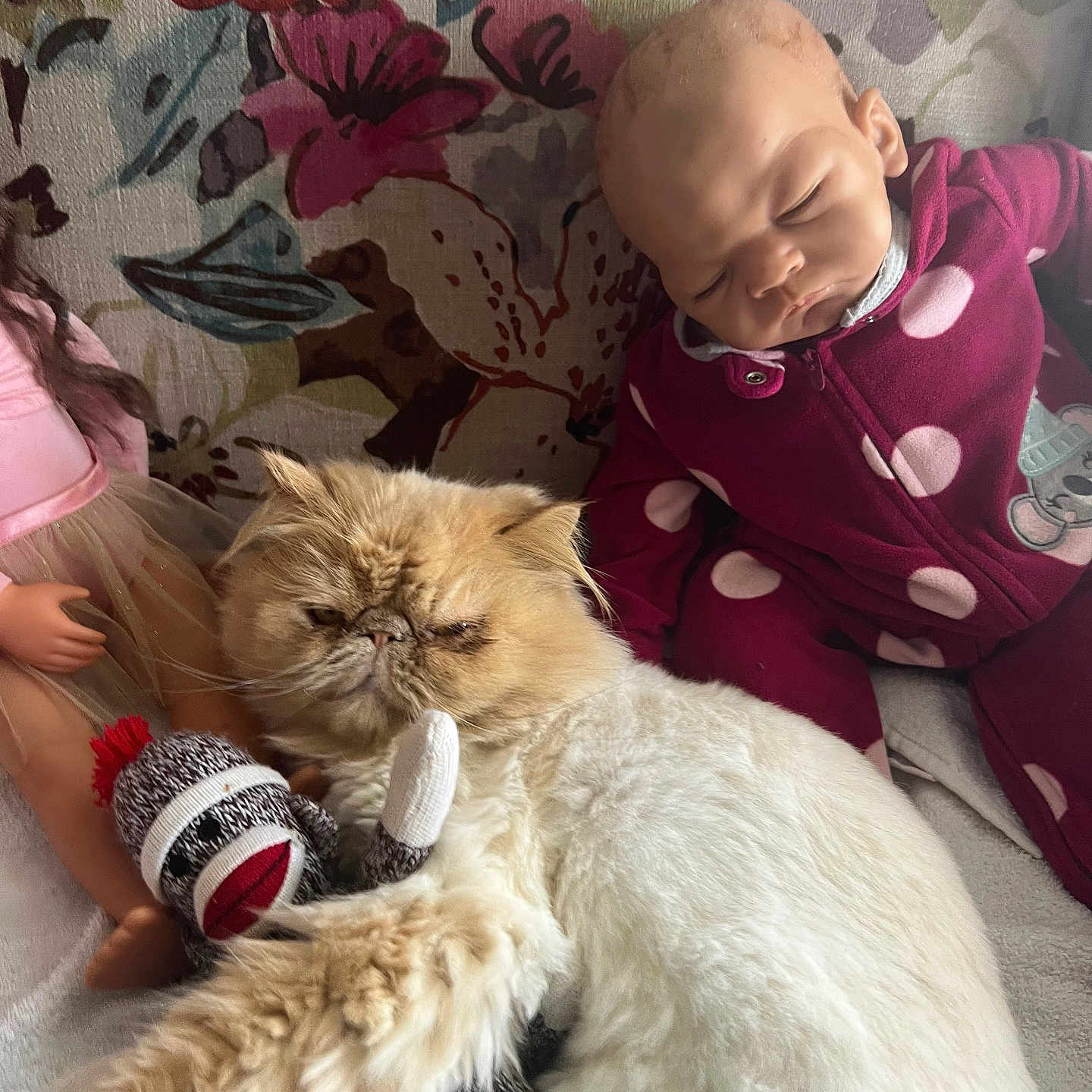 Jj joined the competition — help win amazing prizes! cat, stuffed_toy, doll, floral_background, purple_clothing, polka_dots, fur, toy, fabric, indoor, closeup, pet, animal, plush, soft_toy, sleeping_doll, decor, cuddle, resting, cute