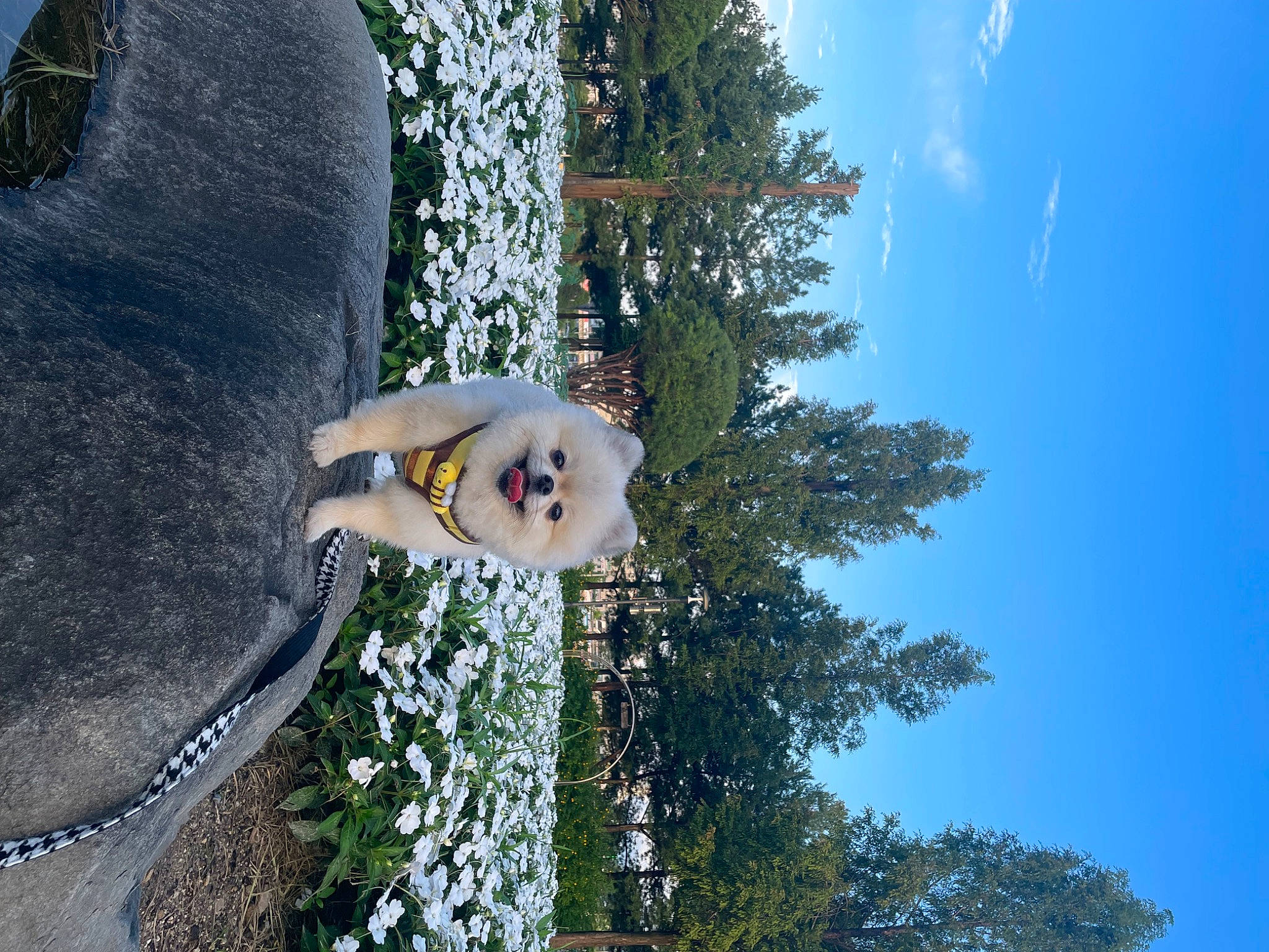 Niké is registered to the contest to win money with this photo: adventure, extreme_sport, eyewear, fun, grass, happy, leisure, people_in_nature, plant, recreation, reflection, sky, tree, water, winter