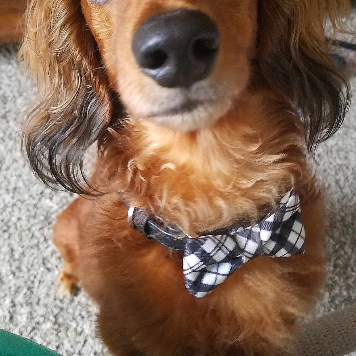 Sebastian