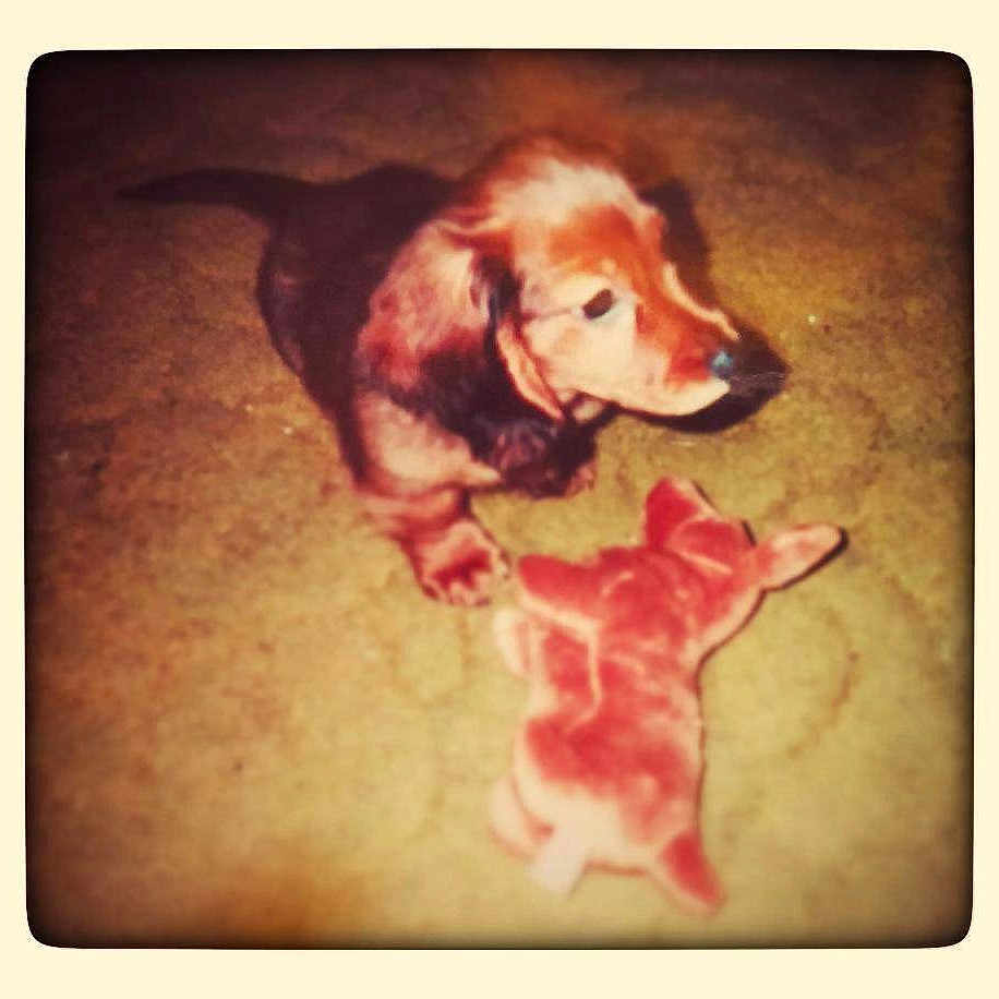 Sebastian