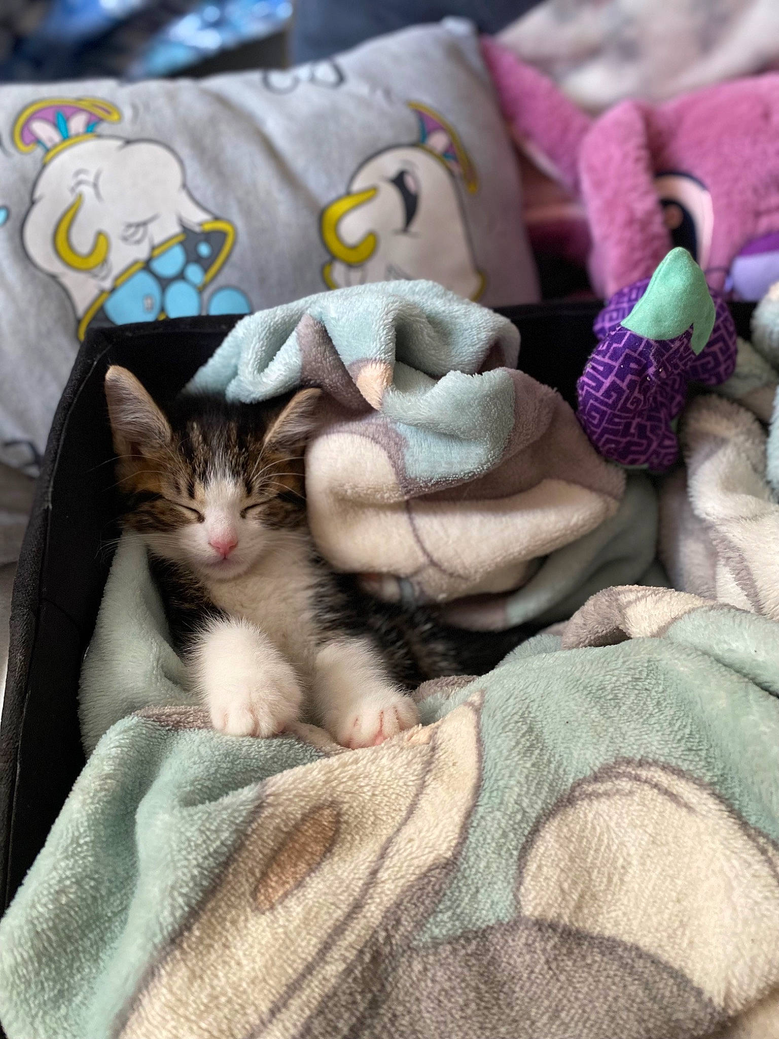 Twitch joined the competition — help win amazing prizes! bed_sheet, bedding, carnivore, cat, comfort, domestic_short_haired_cat, felidae, fur, grey, linens, pattern, paw, small_to_medium_sized_cats, tail, textile, thread, whiskers, wood, wool, woolen