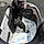 Walter