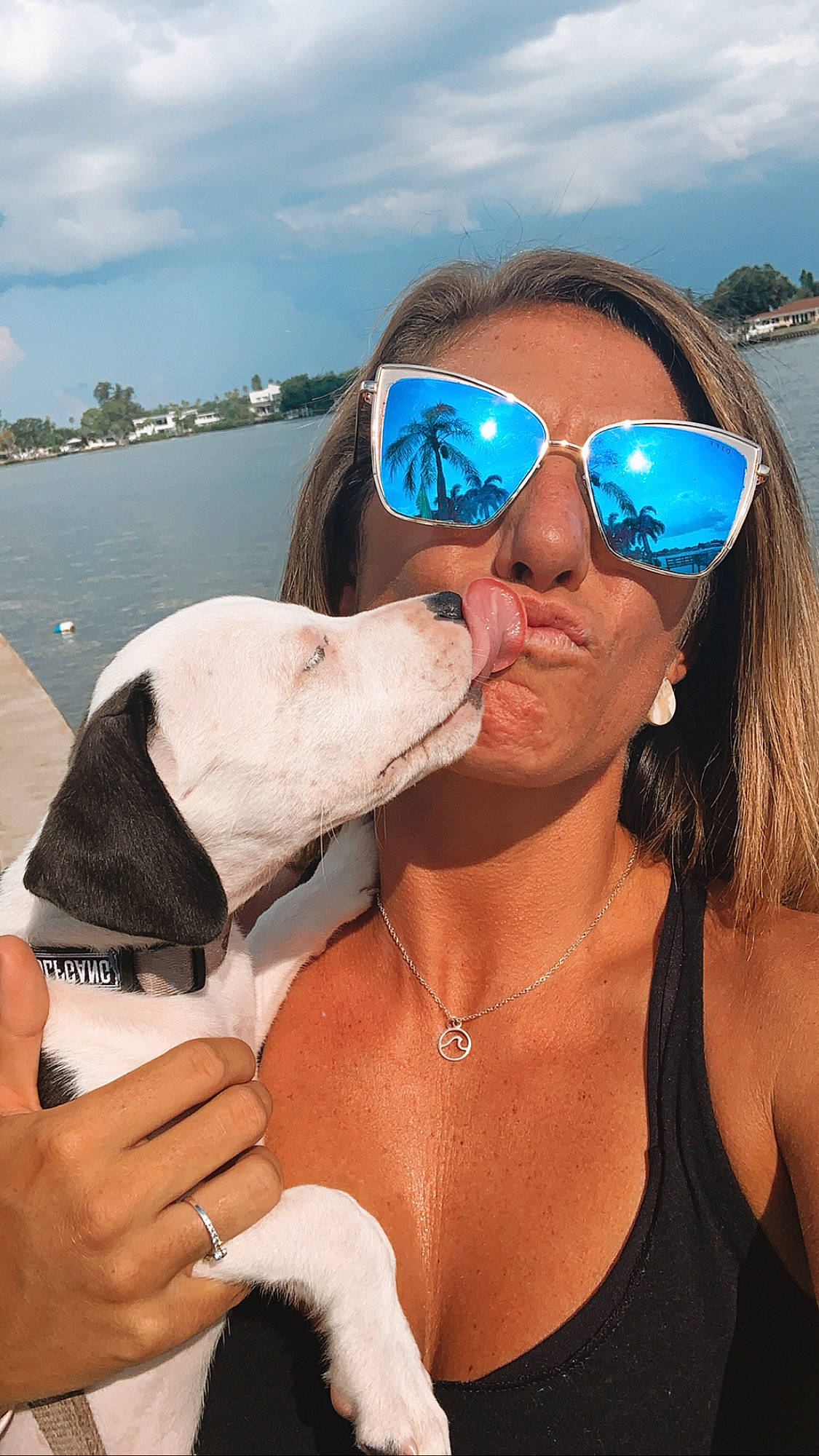 Mötley is registered to the contest to win money with this photo: canidae, carnivore, cool, dog, dog_breed, ear, eyewear, fawn, glasses, goggles, non_sporting_group, snout, sporting_group, sunglasses, vacation