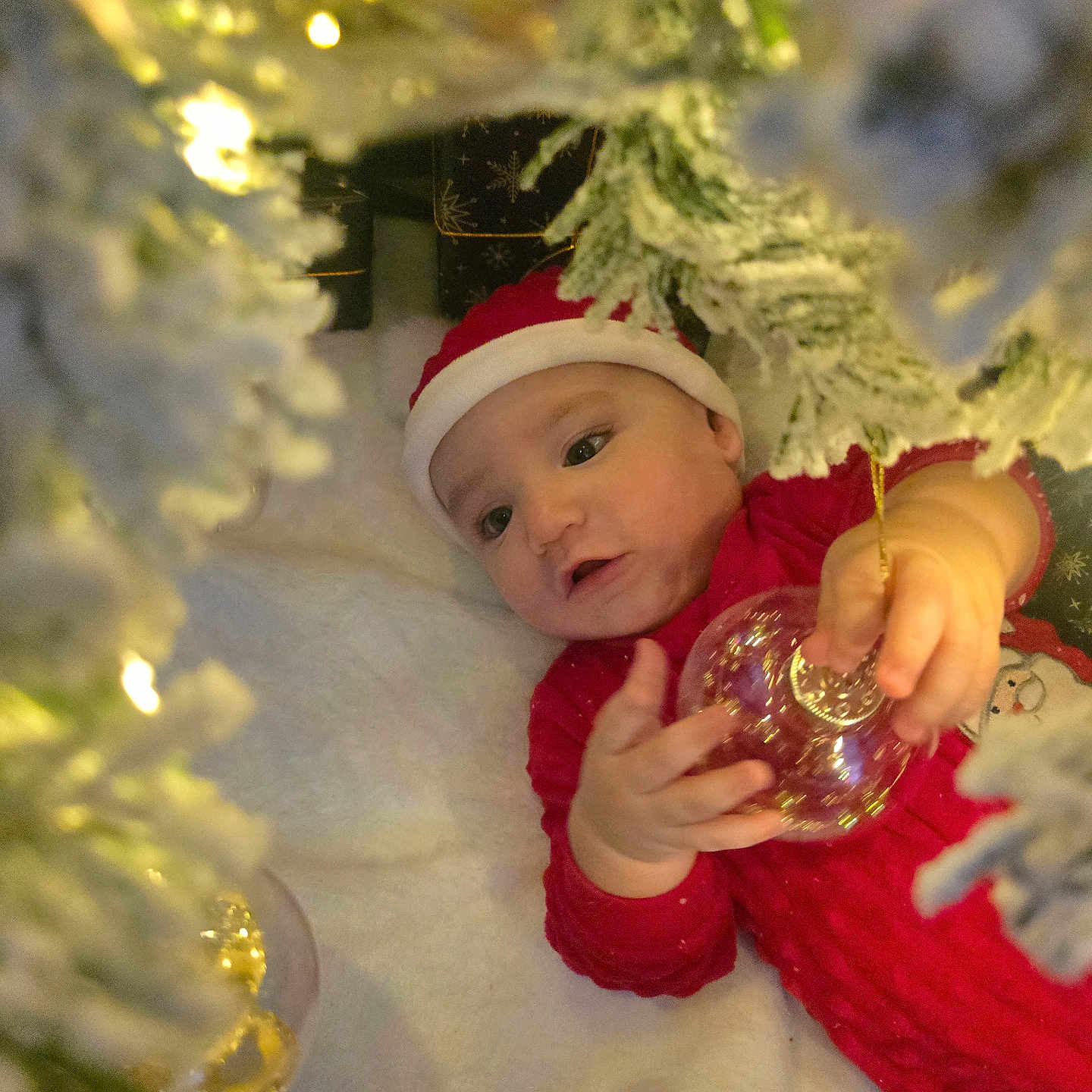 Stephen is registered to the contest to win money with this photo: baby, blanket, child, christmas, curious, cute, decorated_tree, face, festive, hands, holiday, holiday_season, indoors, infant, ornament, red_clothing, santa_hat, snowy_branches, soft_lighting, toddler
