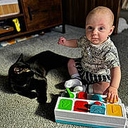 Nathan is registered to the contest to win money with this photo: baby, child, cat, black_cat, toy, carpet, indoor, furniture, wooden_cabinet, colorful_toy, sitting, playing, curious, sunlight, shadow, striped_clothing, white_socks, person, floor, pet