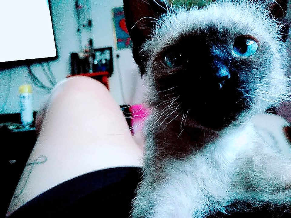 Yoda