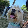 Linus is registered to the contest to win money with this photo:
