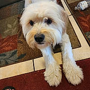 Linus is registered to the contest to win money with this photo: