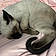 Binx