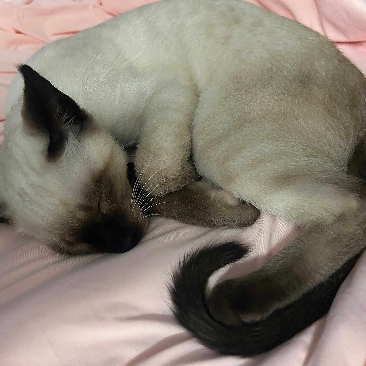 Binx