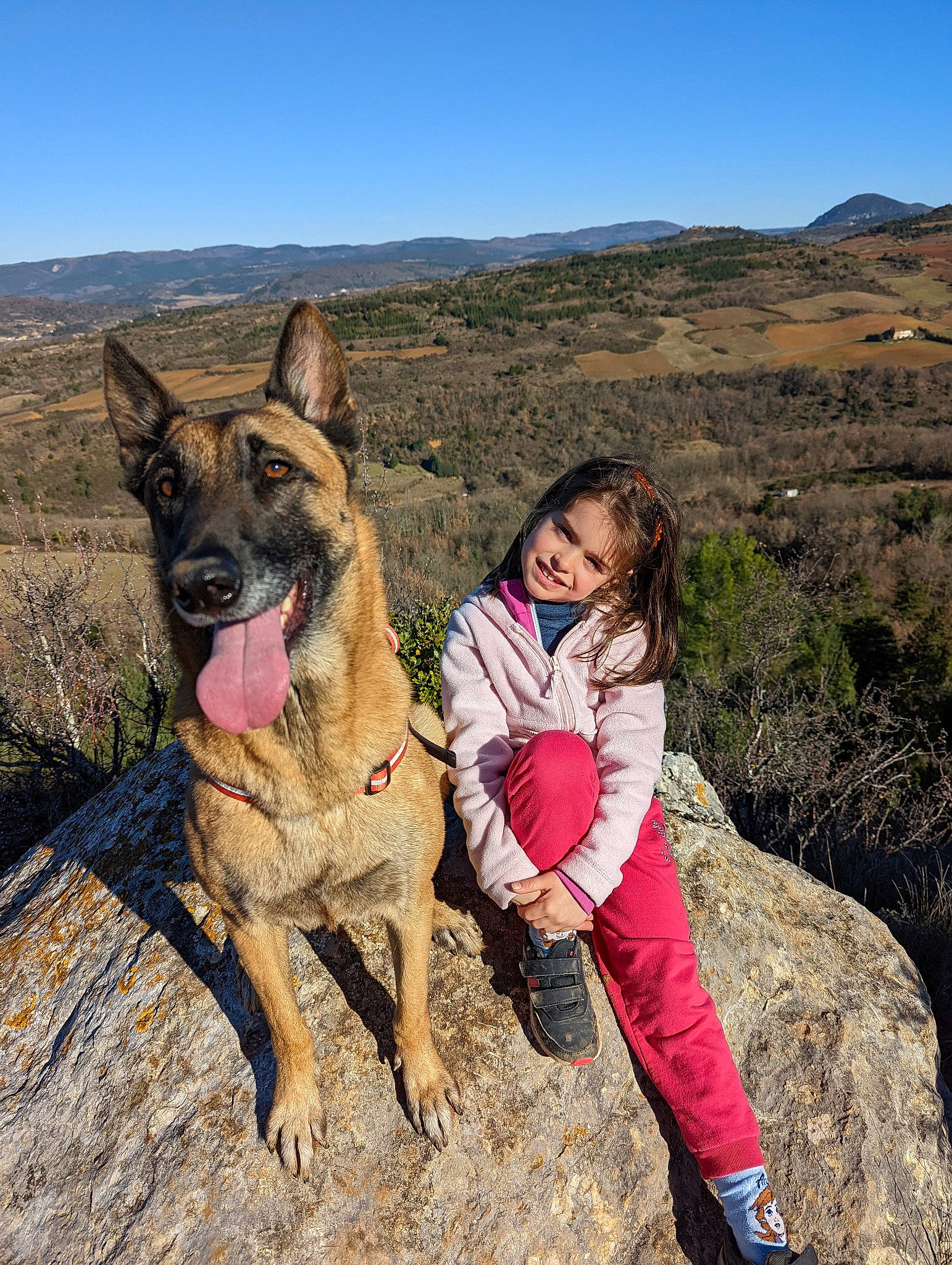 Fifi a rejoint le concours — aidez-le/la à gagner de superbes lots ! adventure, carnivore, dog, dog_breed, fawn, fun, happy, hill, landscape, leisure, mountain, outdoor_recreation, people_in_nature, plant, recreation, sky, smile, sporting_group, travel, wilderness