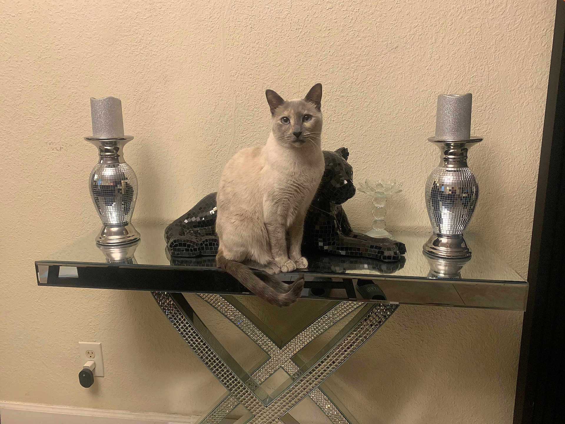 Mia