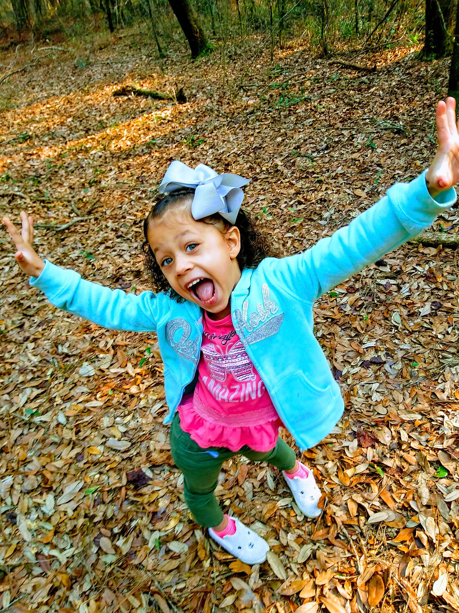 Revelyn is registered to the contest to win money with this photo: autumn, child, deciduous, forest, fun, happy, leaf, leisure, people_in_nature, person, plant, play, recreation, smile, surprise, toddler, tree