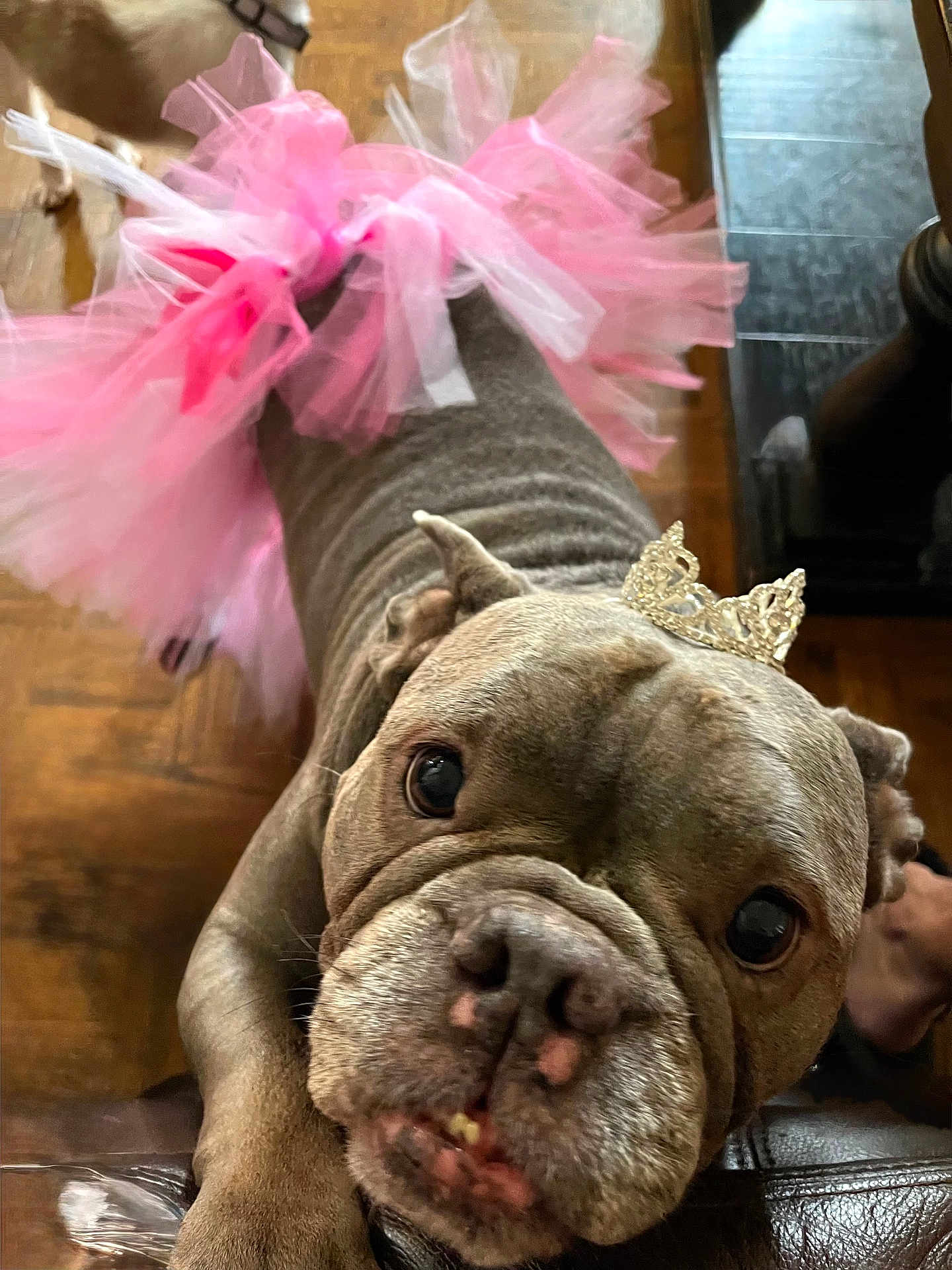 Lucy