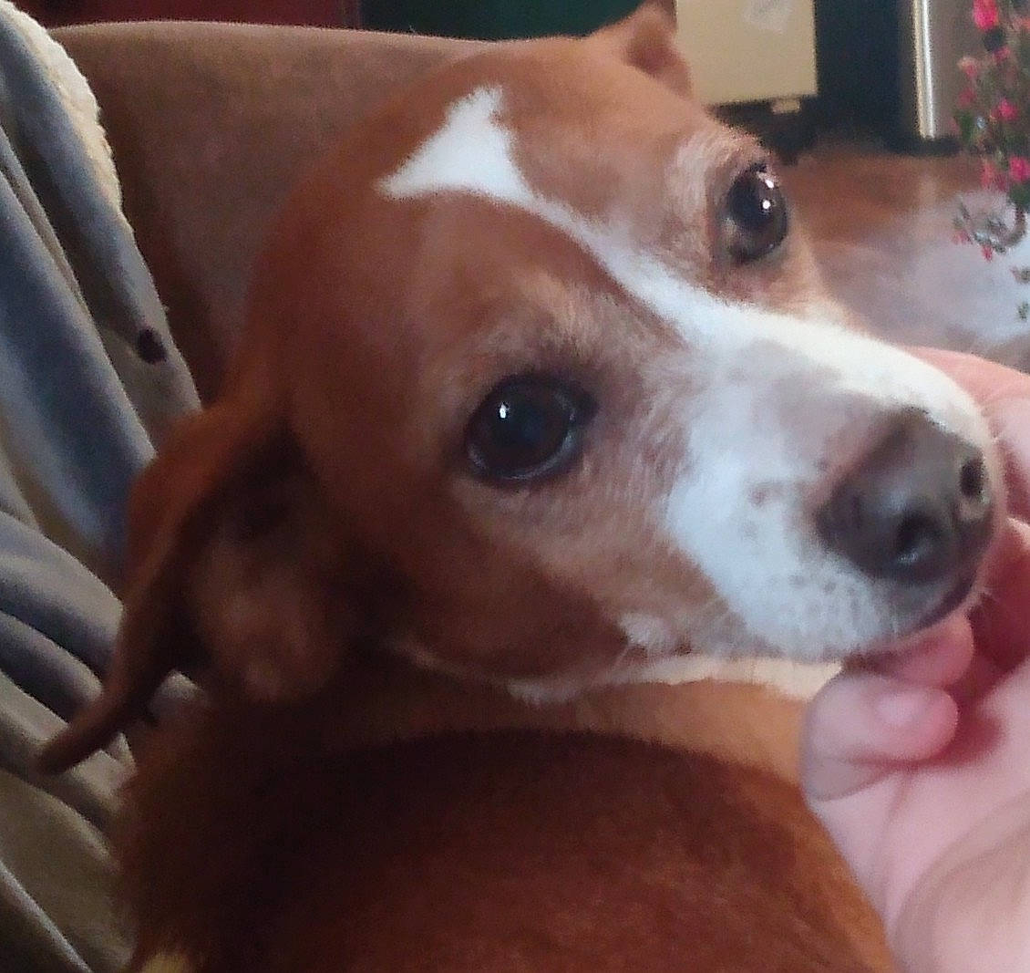 Anna Beth Lemon Gross